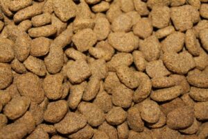 kibble, dog food, pet-855419.jpg